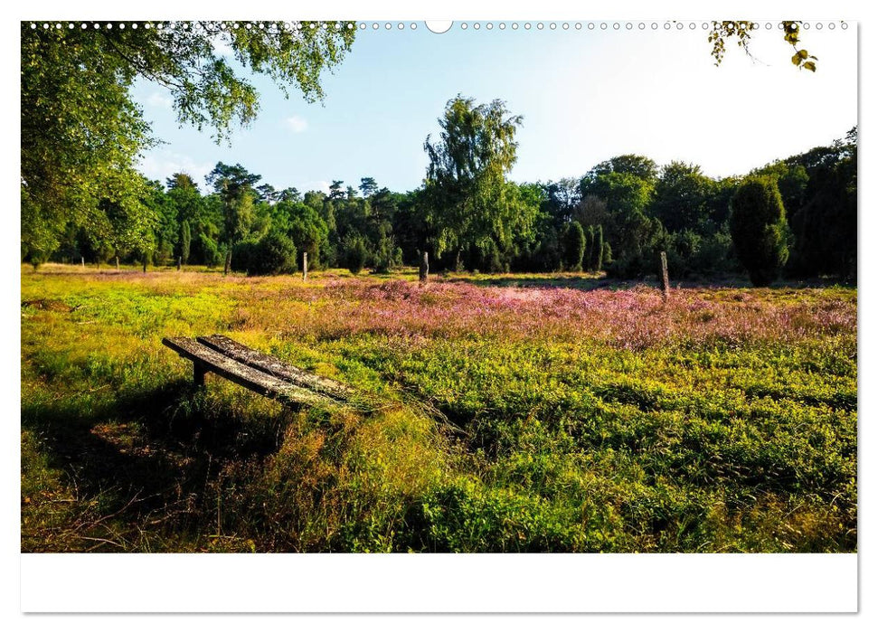 Lichtblicke aus Europa (CALVENDO Premium Wandkalender 2025)