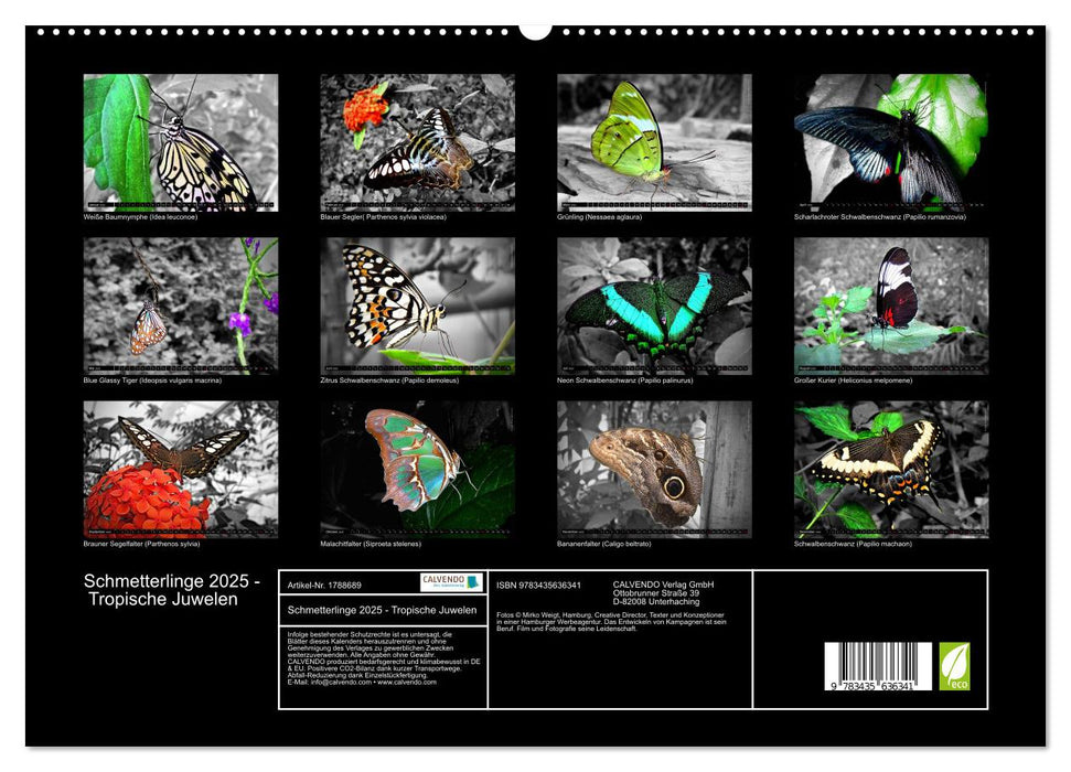 Schmetterlinge 2025 - Tropische Juwelen (CALVENDO Premium Wandkalender 2025)