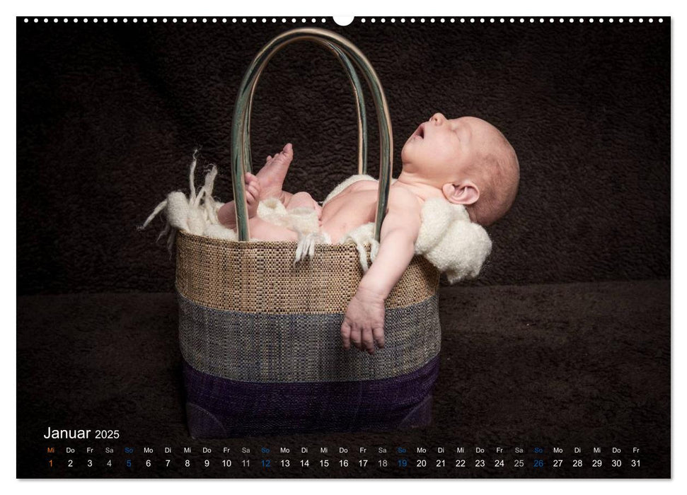 Baby - süße Träume (CALVENDO Premium Wandkalender 2025)