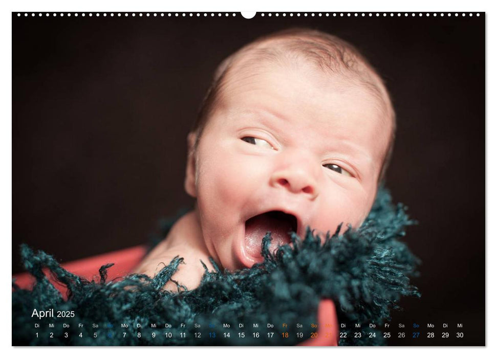 Baby - süße Träume (CALVENDO Premium Wandkalender 2025)