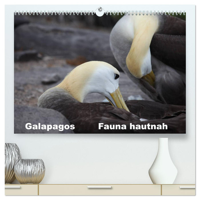 Galapagos. Fauna hautnah (CALVENDO Premium Wandkalender 2025)