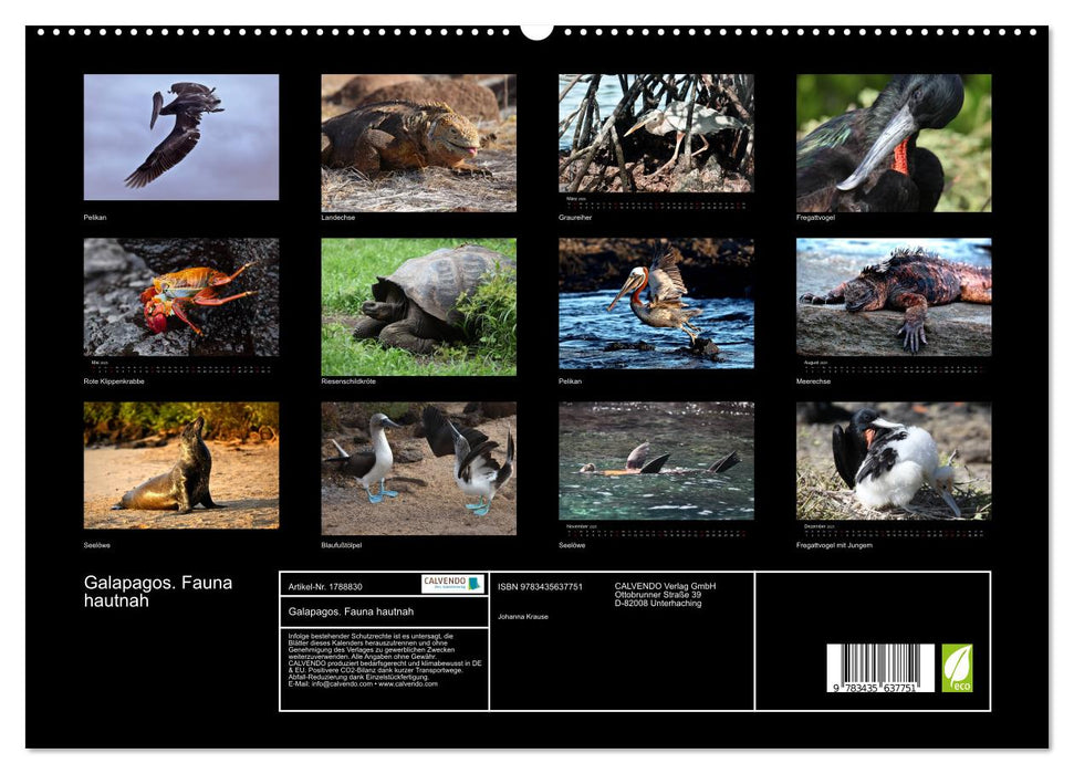 Galapagos. Fauna hautnah (CALVENDO Premium Wandkalender 2025)