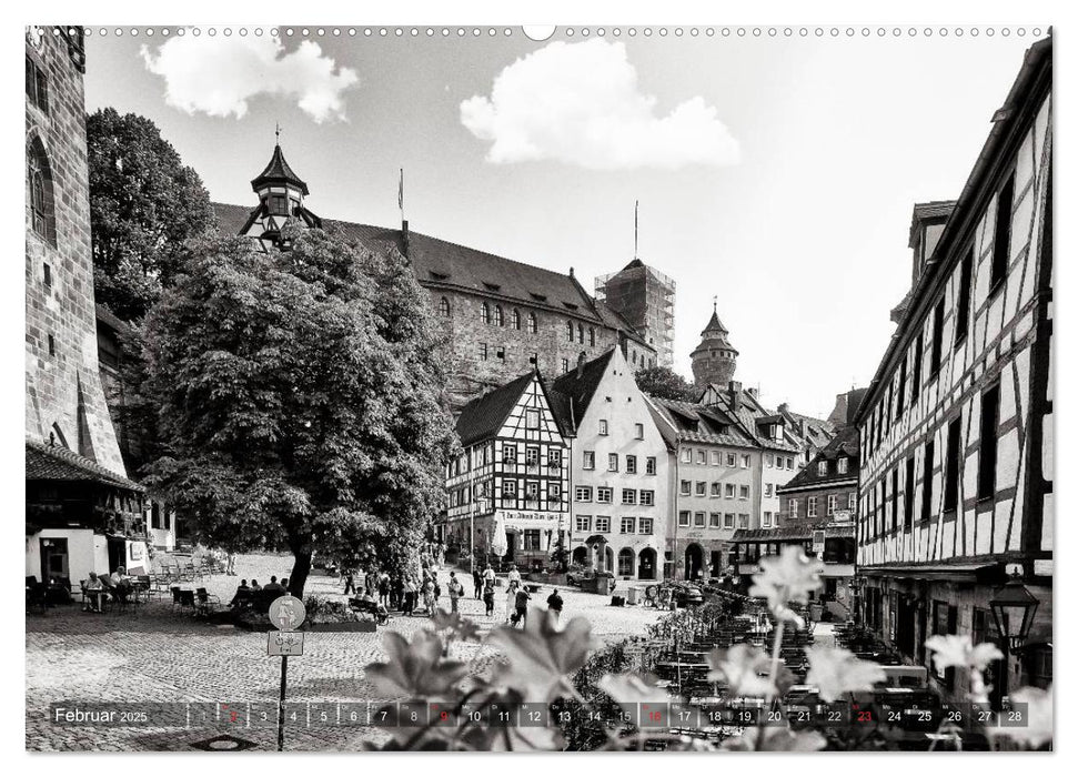 Ein Blick auf Nürnberg (CALVENDO Premium Wandkalender 2025)