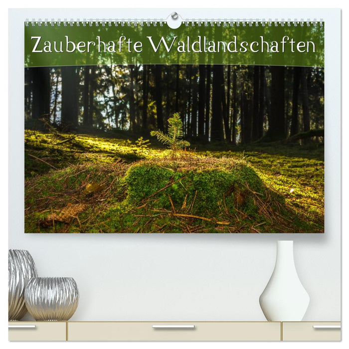 Zauberhafte Waldlandschaften (CALVENDO Premium Wandkalender 2025)