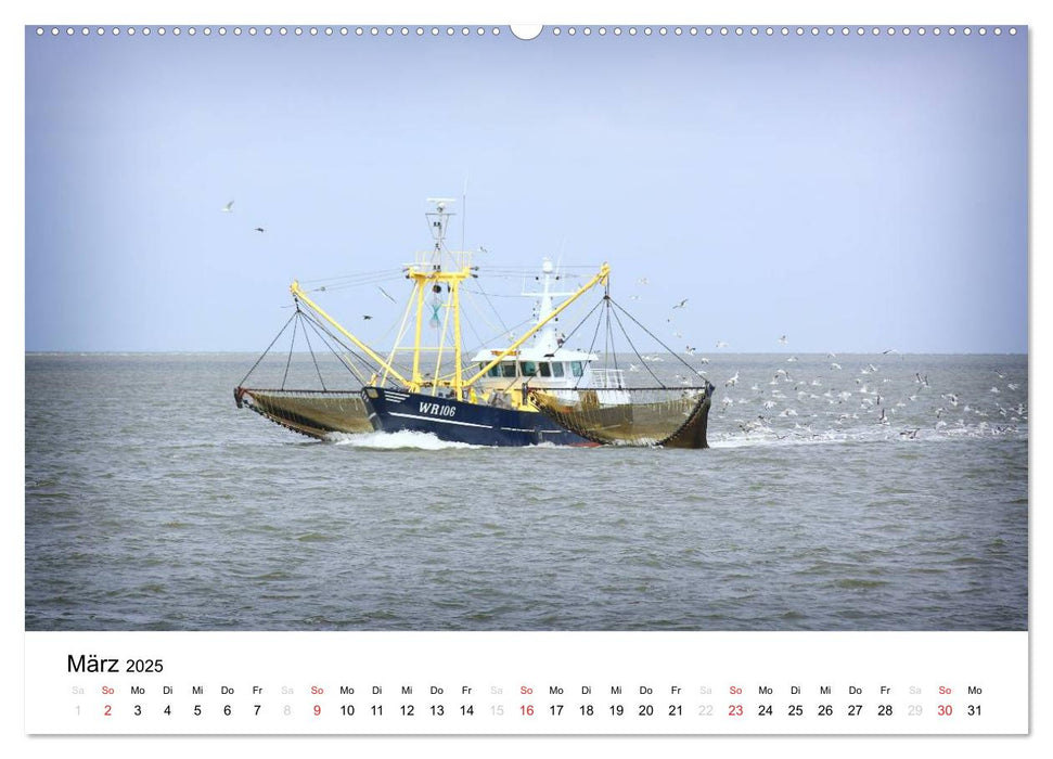 schönes Texel (CALVENDO Premium Wandkalender 2025)