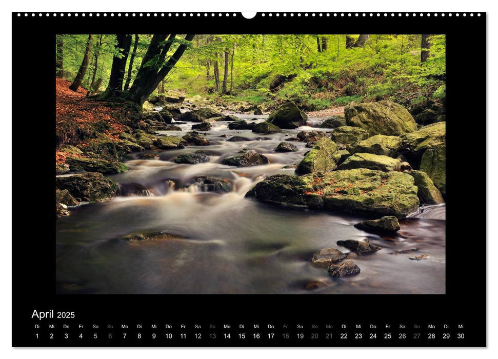 Hohes Venn und Ardennen (CALVENDO Premium Wandkalender 2025)