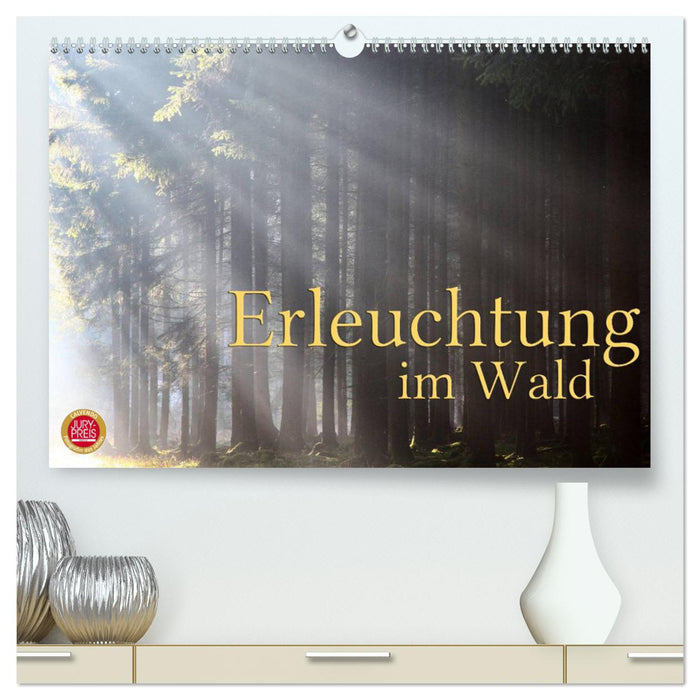 Erleuchtung im Wald (CALVENDO Premium Wandkalender 2025)