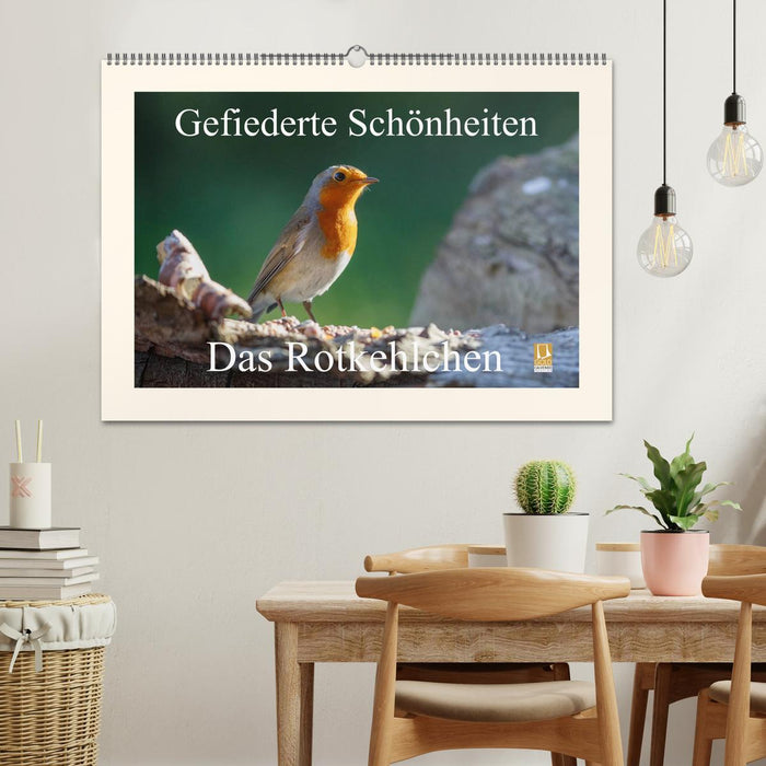 Gefiederte Schönheiten - Das Rotkehlchen (CALVENDO Wandkalender 2025)