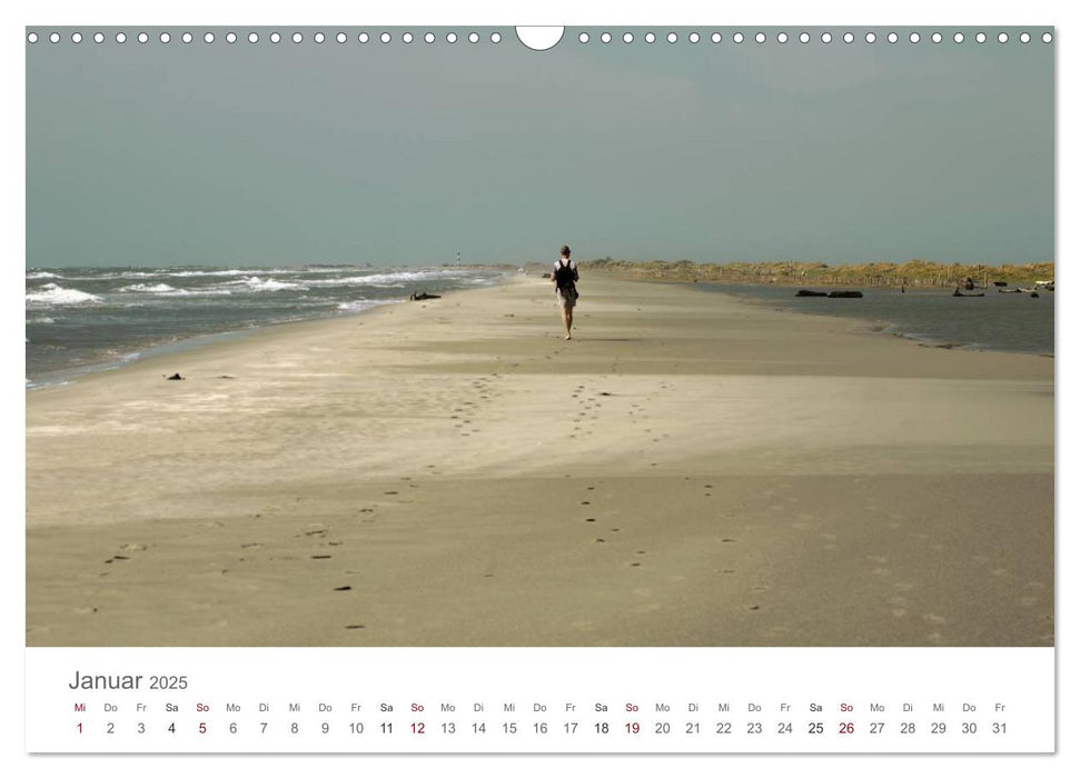 Die Farben der Camargue (CALVENDO Wandkalender 2025)