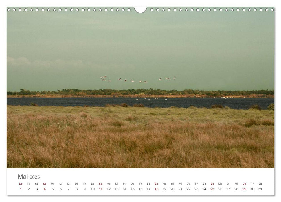 Die Farben der Camargue (CALVENDO Wandkalender 2025)