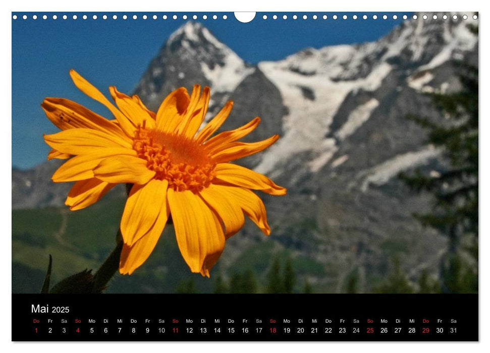 Zauber der Berge. Die Schweizer Alpen (CALVENDO Wandkalender 2025)