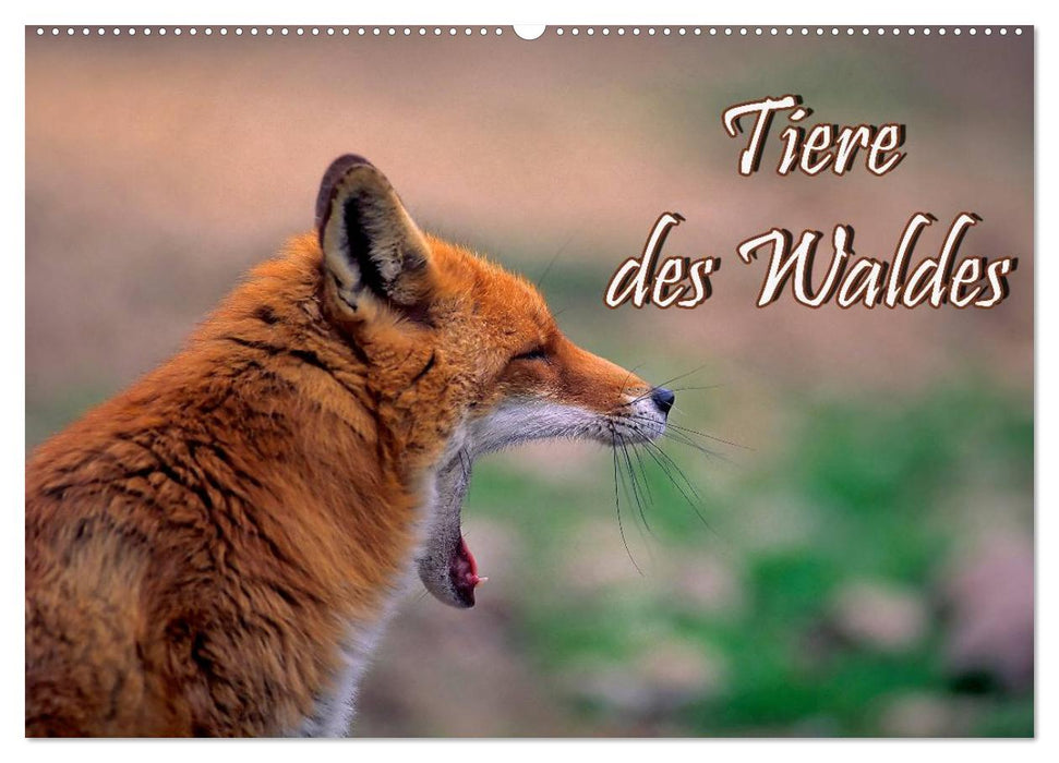 Tiere des Waldes (CALVENDO Wandkalender 2025)