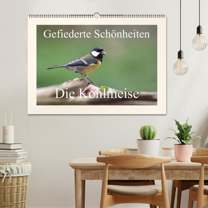 Gefiederte Schönheiten - Die Kohlmeise (CALVENDO Wandkalender 2025)