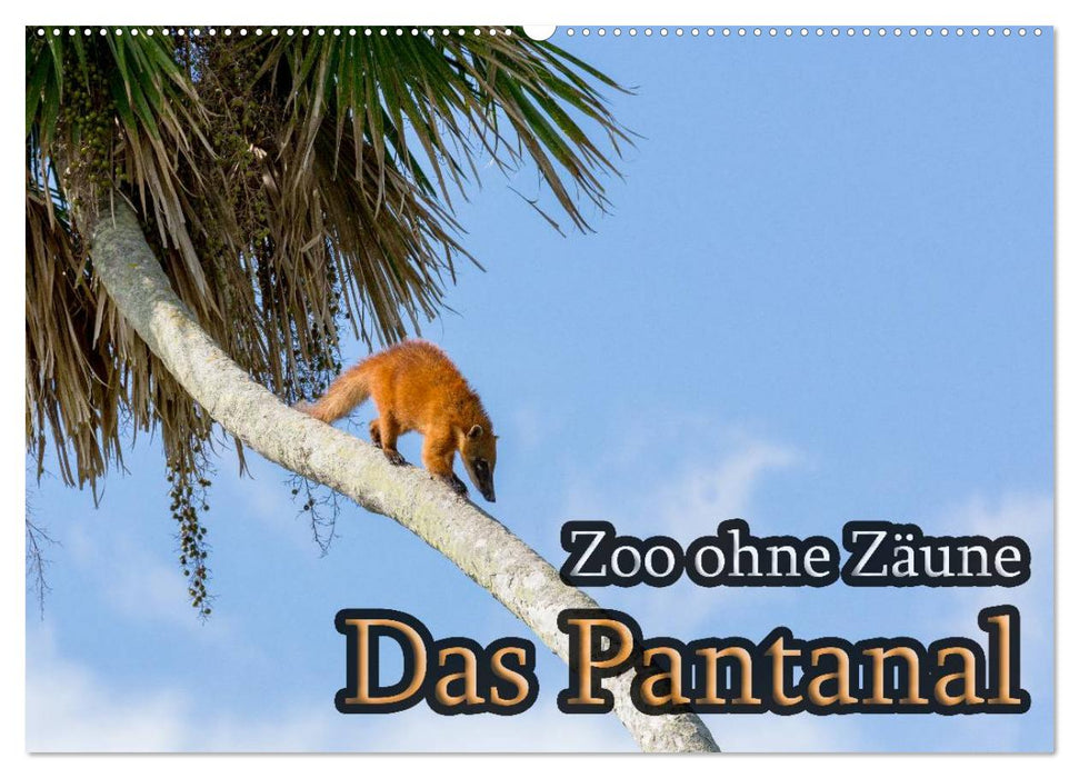 Zoo ohne Zäune - Das Pantanal (CALVENDO Wandkalender 2025)