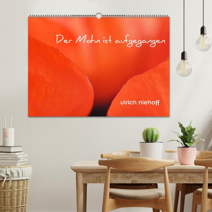 Der Mohn ist aufgegangen (CALVENDO Wandkalender 2025)