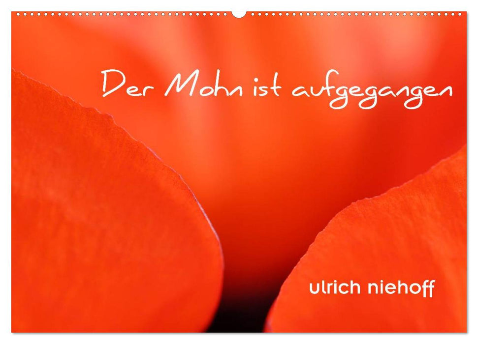 Der Mohn ist aufgegangen (CALVENDO Wandkalender 2025)