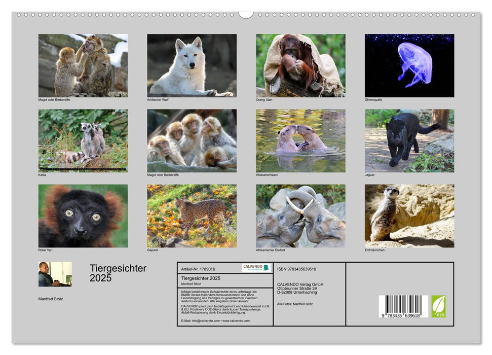 Tiergesichter 2025 (CALVENDO Premium Wandkalender 2025)