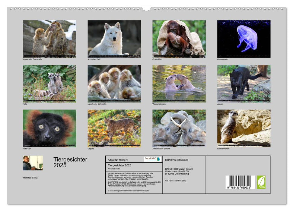 Tiergesichter 2025 (CALVENDO Premium Wandkalender 2025)