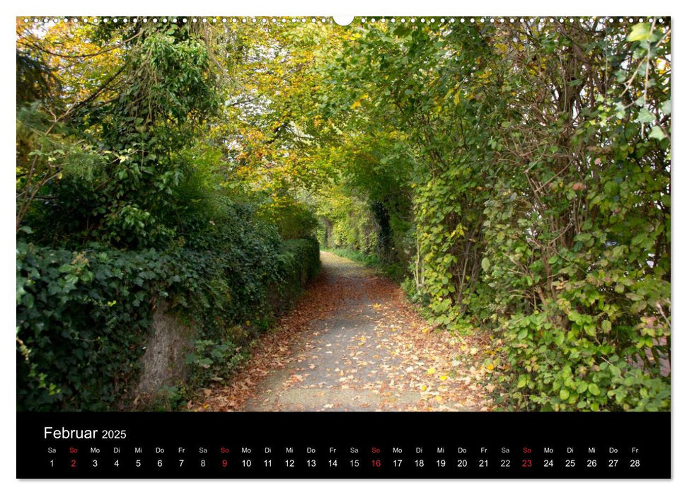 Bad Laer, Kurort am Teutoburger Wald (CALVENDO Wandkalender 2025)