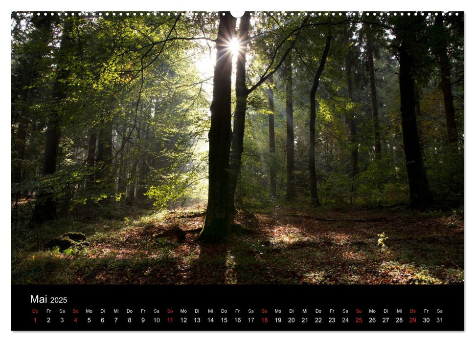 Bad Laer, Kurort am Teutoburger Wald (CALVENDO Wandkalender 2025)