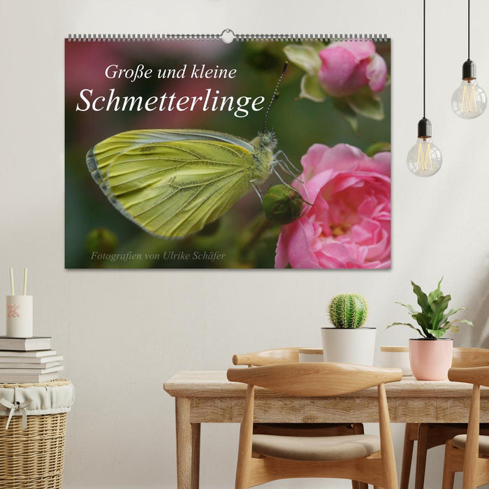 Große und kleine Schmetterlinge (CALVENDO Wandkalender 2025)