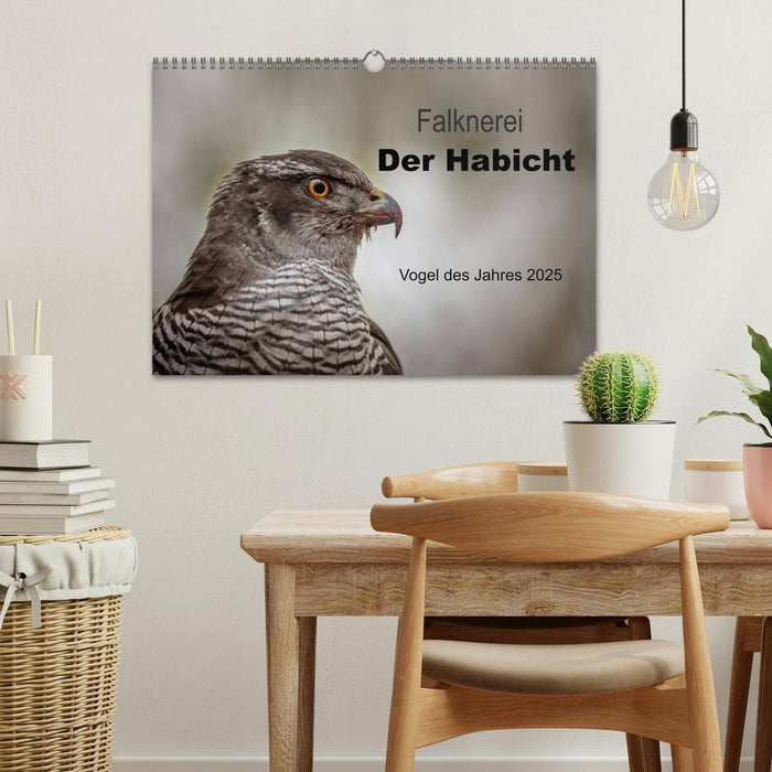 Falknerei Der Habicht (CALVENDO Wandkalender 2025)