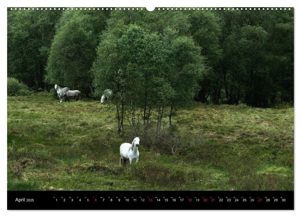 SCHOTTLAND - A ROMANCE (CALVENDO Premium Wandkalender 2025)