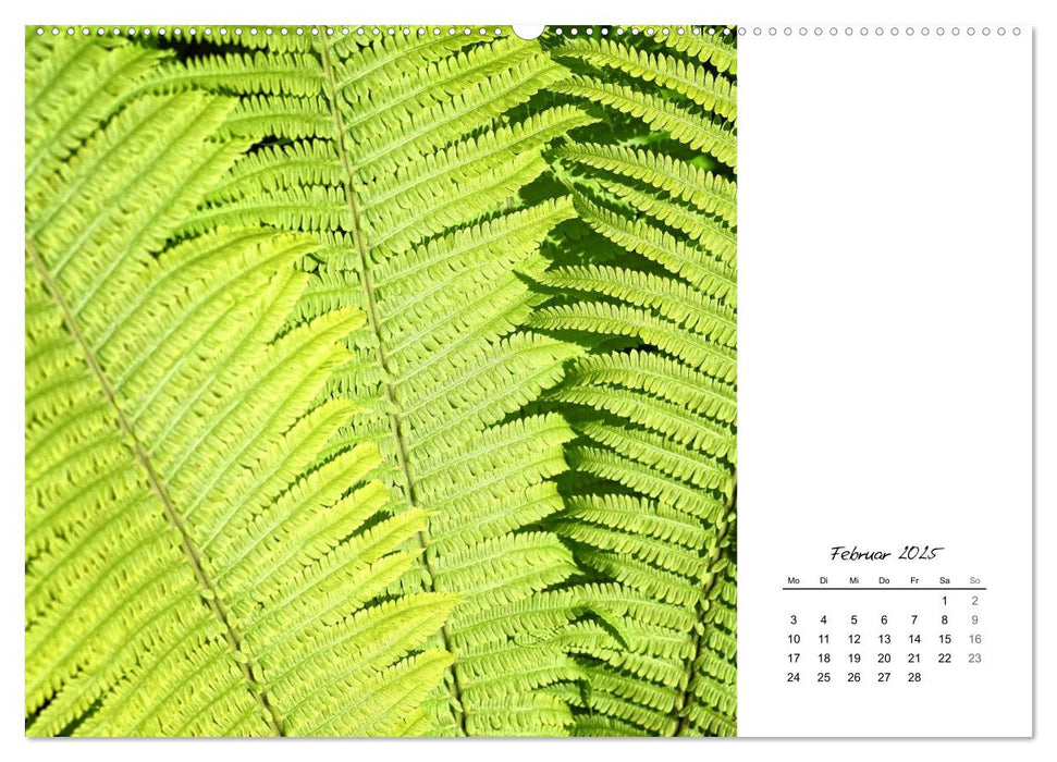 Blattkunst (CALVENDO Wandkalender 2025)