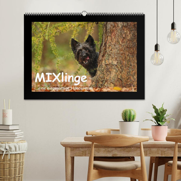 MIXlinge (CALVENDO Wandkalender 2025)