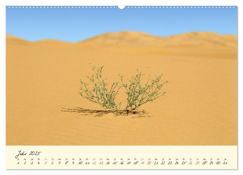 Sahara-Sand (CALVENDO Premium Wandkalender 2025)