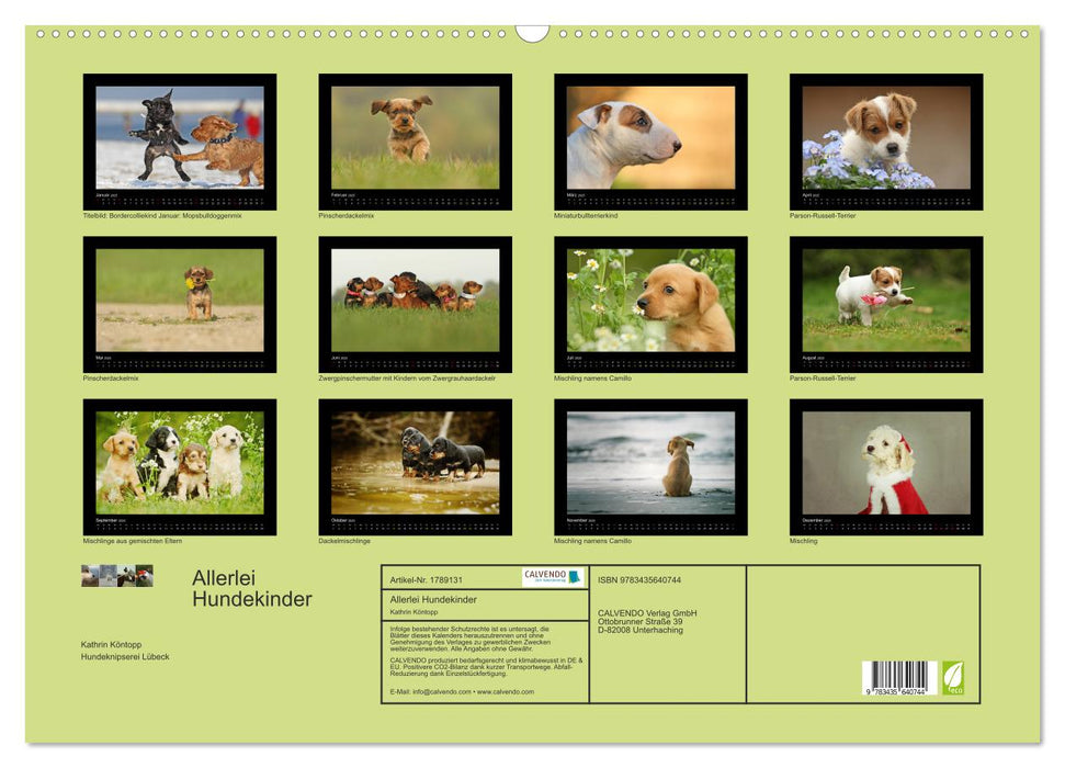 Allerlei Hundekinder (CALVENDO Wandkalender 2025)