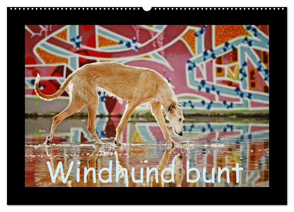 Windhund bunt (CALVENDO Wandkalender 2025)