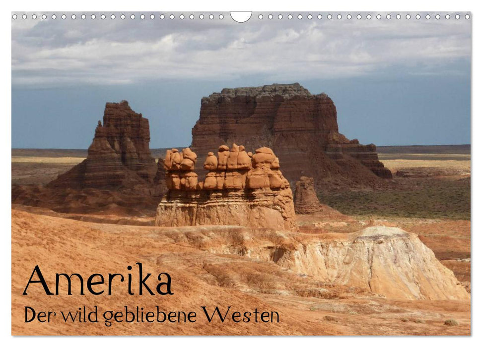 Amerika - Der wild gebliebene Westen (CALVENDO Wandkalender 2025)