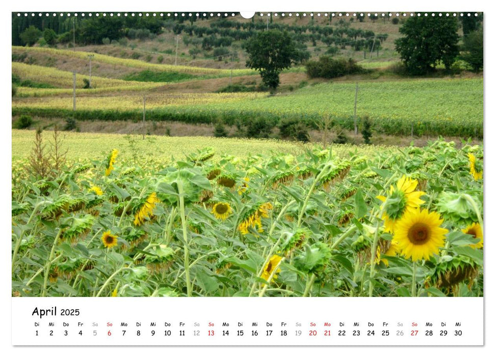 Camino di Assisi - Franziskusweg (CALVENDO Premium Wandkalender 2025)