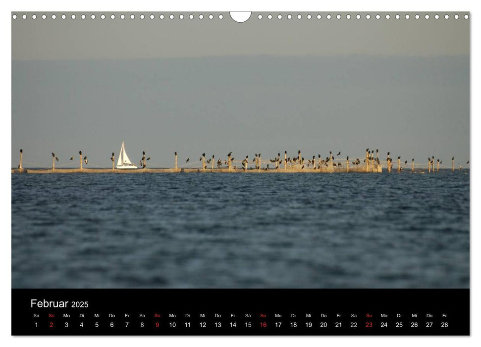 Wasserwandern in Mecklenburg-Vorpommern (CALVENDO Wandkalender 2025)