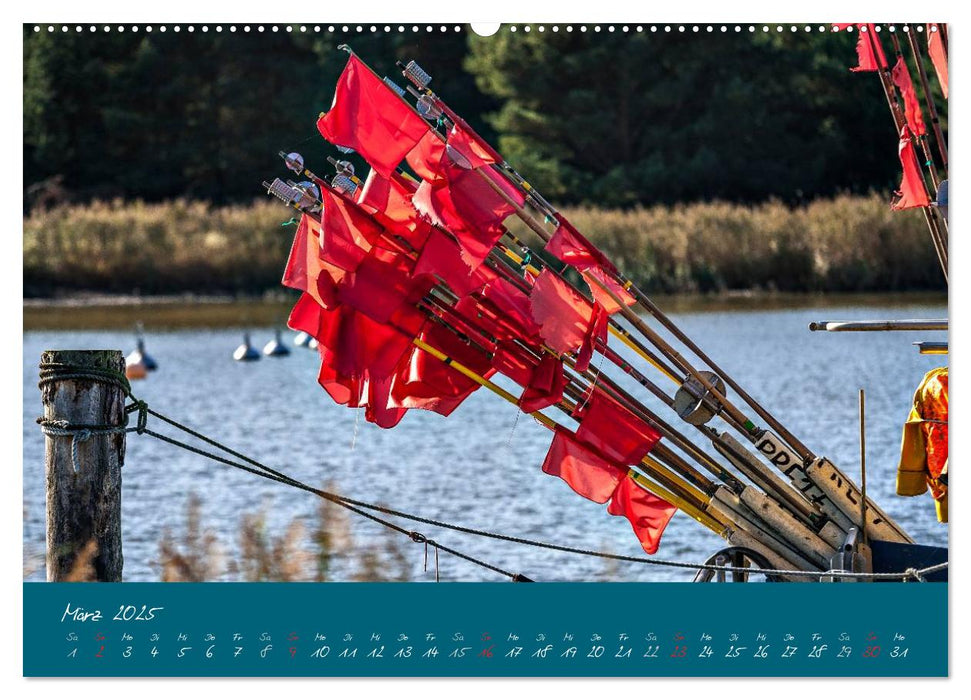 Blick auf die Halbinsel Fischland, Darß und Zingst (CALVENDO Premium Wandkalender 2025)