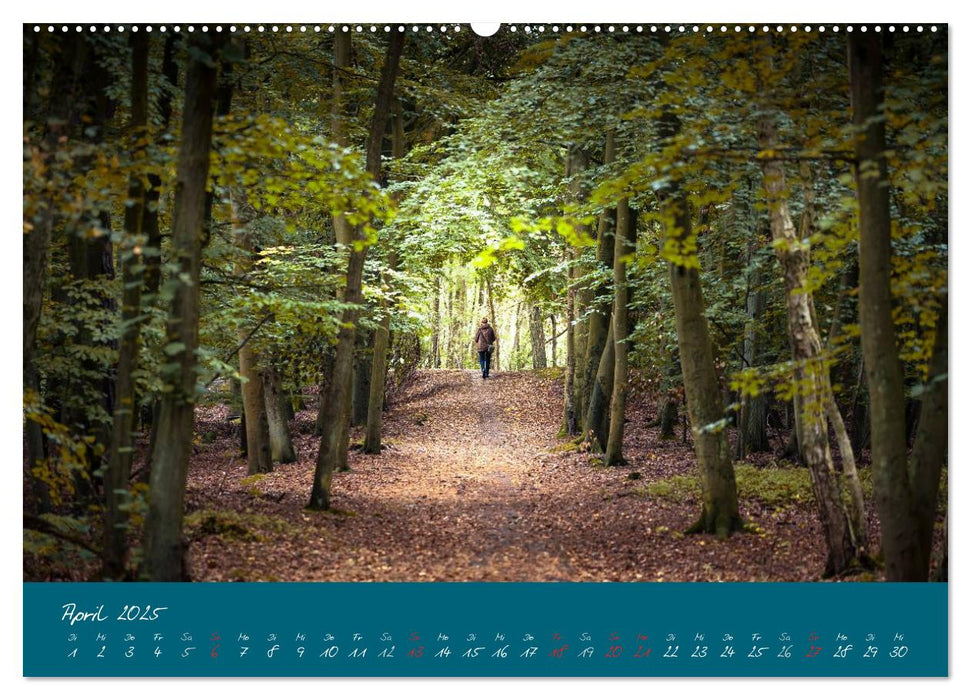 Blick auf die Halbinsel Fischland, Darß und Zingst (CALVENDO Premium Wandkalender 2025)