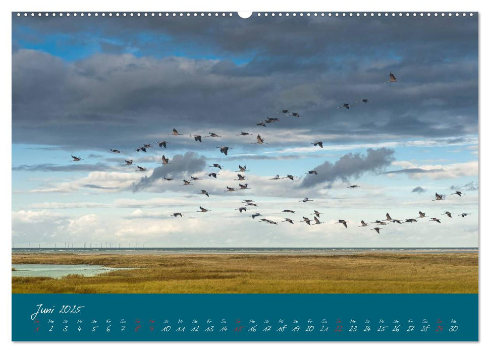 Blick auf die Halbinsel Fischland, Darß und Zingst (CALVENDO Premium Wandkalender 2025)