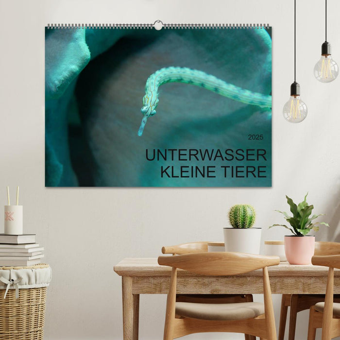 UNTERWASSER KLEINE TIERE (CALVENDO Wandkalender 2025)