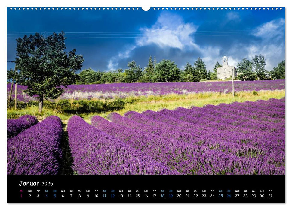 Provence - Lavendelblüte (CALVENDO Premium Wandkalender 2025)