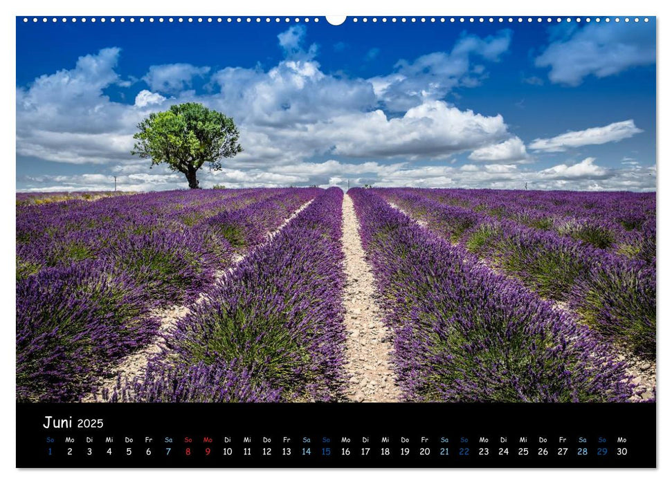 Provence - Lavendelblüte (CALVENDO Premium Wandkalender 2025)