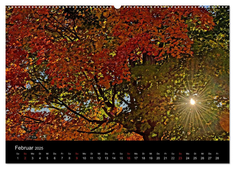 Herbst in Vermont (CALVENDO Premium Wandkalender 2025)