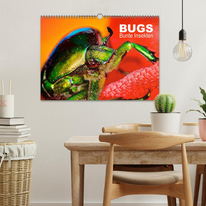 BUGS, Bunte Insekten (CALVENDO Wandkalender 2025)