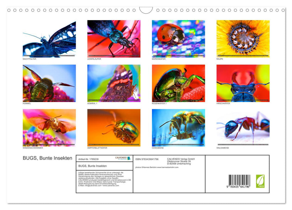 BUGS, Bunte Insekten (CALVENDO Wandkalender 2025)