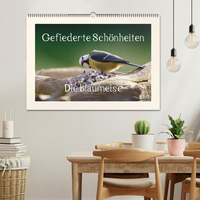 Gefiederte Schönheiten - Die Blaumeise (CALVENDO Wandkalender 2025)