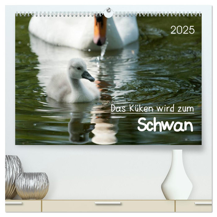 Das Küken wird zum Schwan (CALVENDO Premium Wandkalender 2025)