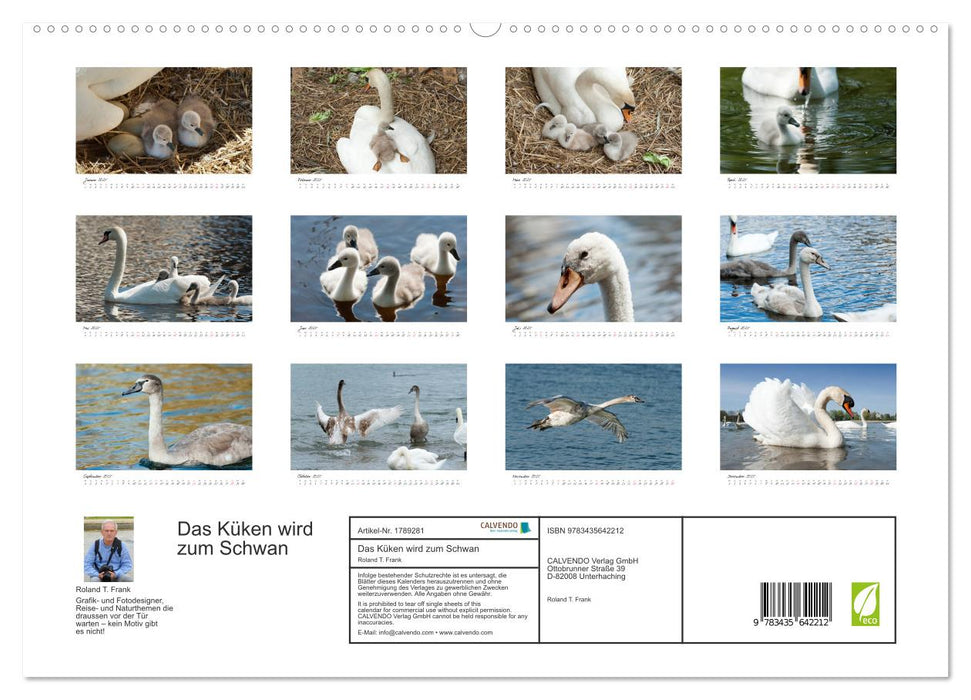 Das Küken wird zum Schwan (CALVENDO Premium Wandkalender 2025)