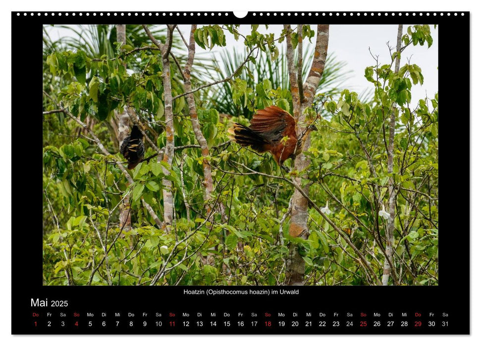 Exotisches Peru (CALVENDO Wandkalender 2025)