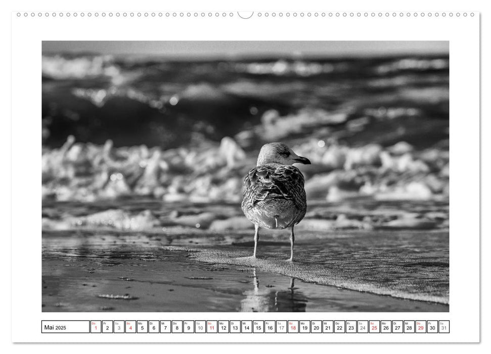 Am Strand von St. Peter-Ording SCHWARZ-WEISS (CALVENDO Premium Wandkalender 2025)