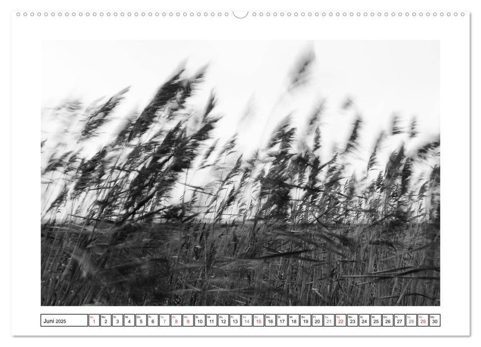 Am Strand von St. Peter-Ording SCHWARZ-WEISS (CALVENDO Premium Wandkalender 2025)